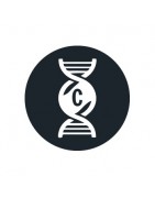 Buy critical genetics seeds at a good price - Grow barato