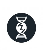 Genética Zkittlez - Todas las variedades de Zkittlez