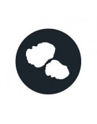 Comprar Trufas Mágicas【 Alucinógenas 】Envío 24 horas