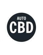 Acheter graines CBD Auto en ligne - Growbarato