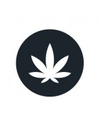 Comprar semillas índicas baratas - Growbarato