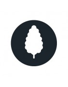 Semillas de marihuana más productivas | Compra online al mejor precio