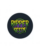 Semillas Autoflorecientes Ripper Seeds