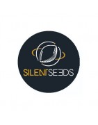 Silent Seeds Semillas Feminizadas - Nueva DINAFEM