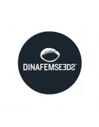≫ Comprar Semillas feminizadas Dinafem Seeds - GrowBarato.net