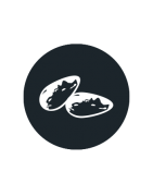 Seeds