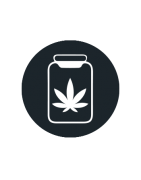 Cultivo