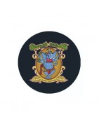 ≫ Buy reliable Sweet Seeds Feminized - GrowBarato.net