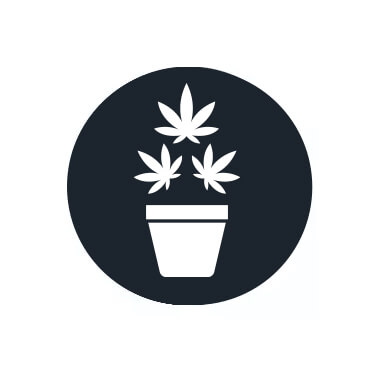 Abonos de Floración